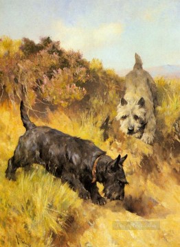 Dos escoceses en un paisaje animal Arthur Wardle perro Pinturas al óleo